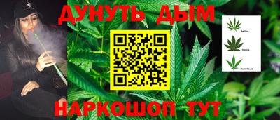 ГАЛЛЮЦИНОГЕННЫЕ ГРИБЫ Свободный