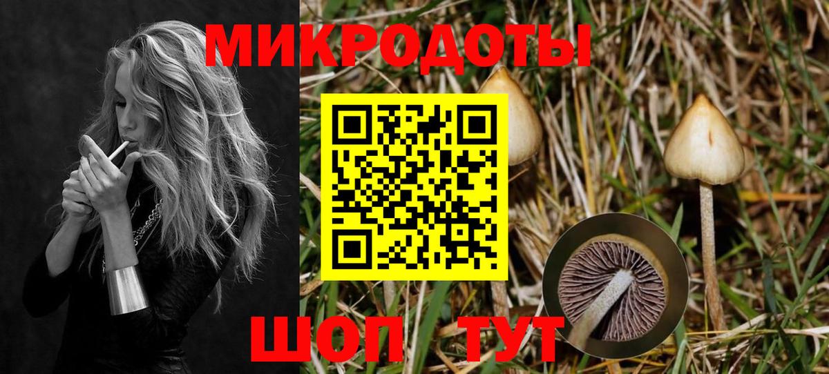 Нарткала  Галлюциногенные грибы ЛСД  Галлюциногенные грибы Psilocybe  Вход с VPN 